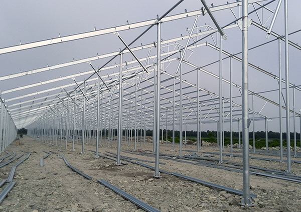 Cow House Steel Structure.jpg